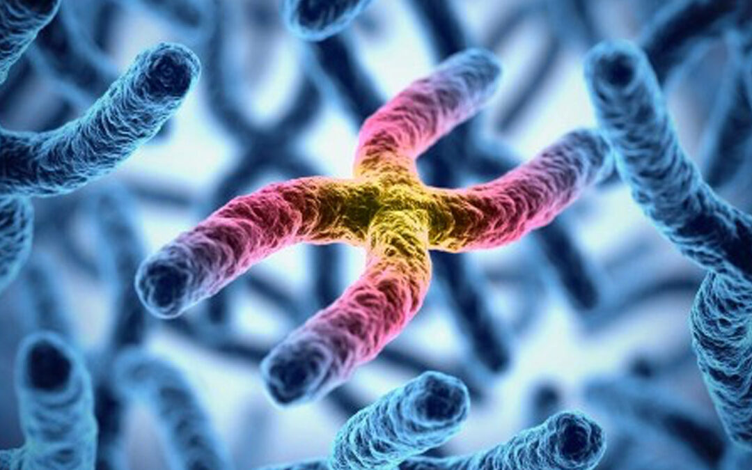 Dal sequenziamento del genoma, il test di prima linea per le malattie genetiche familiari
