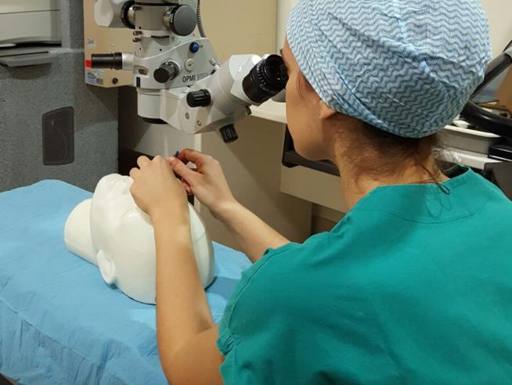 Microchirurgia robotica oculare: maxi investimento in Francia