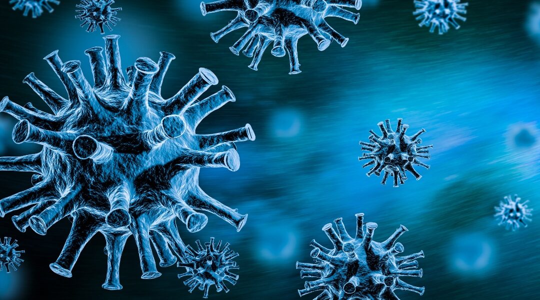 Covid e vaccini: la pandemia si combatte anche sul web