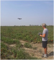 Il lungo viaggio del pomodoro: dai Maya alla coltivazione con drone e software