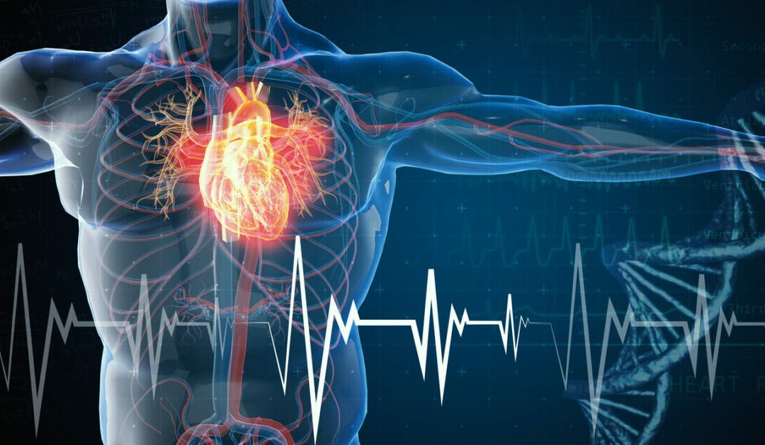 Le malattie cardiovascolari sono la prima causa di ricovero