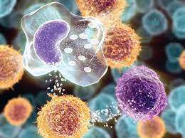 Malattie reumatologiche e autoimmuni, nuovo progresso per i farmaci biologici