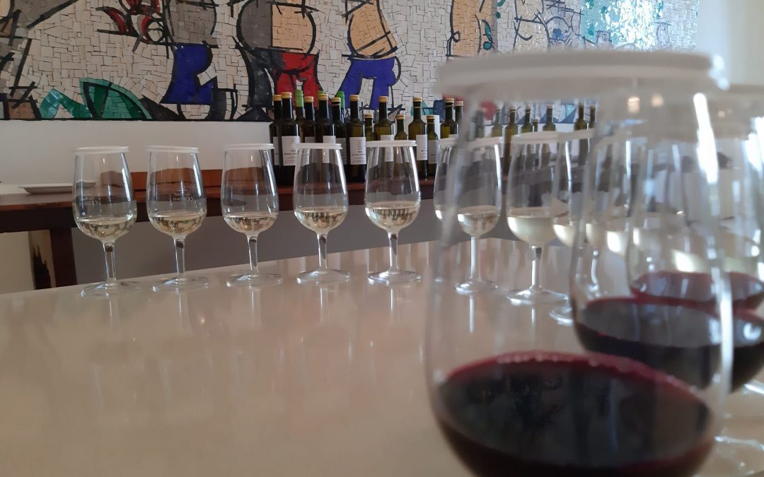 A Trento la prima rassegna nazionale sui vini “resistenti”: 91 prodotti in gara e 56 aziende