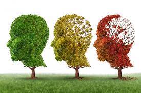 Fujirebio Europe, nuove pathway per la ricerca sull’Alzheimer
