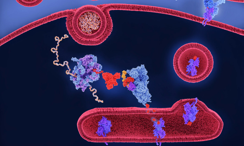 Messenger RNA, da Curia nanoparticelle per le malattie croniche