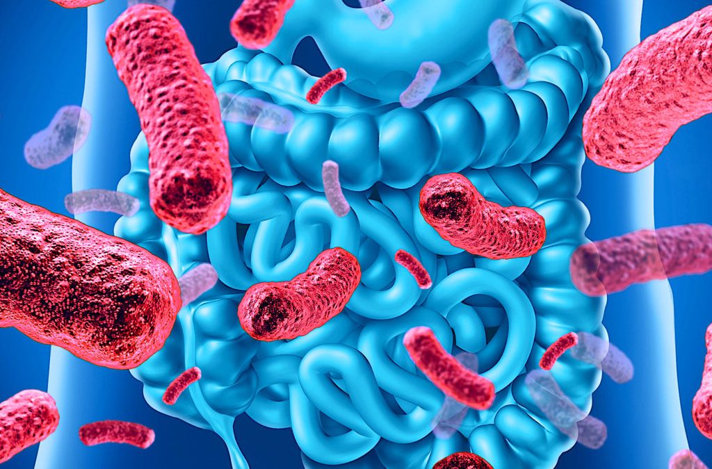 Covid, il ruolo protettivo del microbiota intestinale nei bambini
