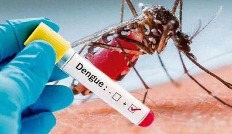 Qdenga di Takeda ottiene l’approvazione per l’utilizzo in Indonesia, indipendentemente da una previa esposizione alla dengue