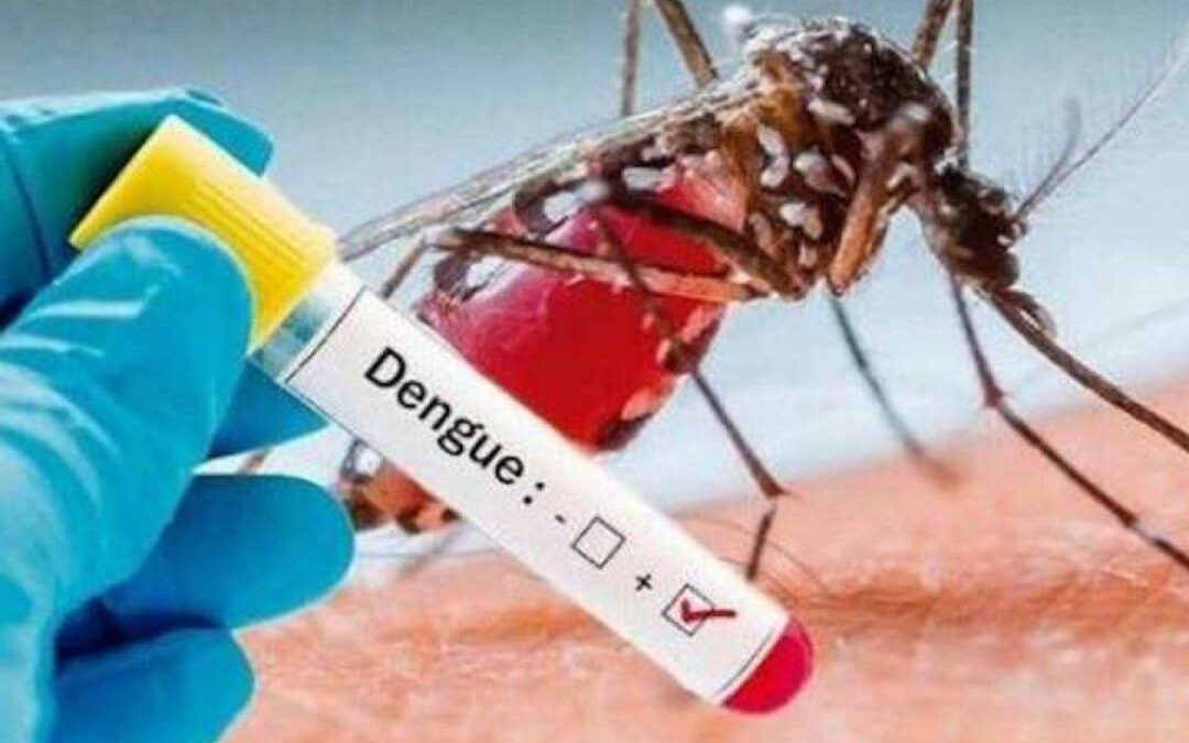 Dengue, l’Agenzia europea per i medicinali approva il vaccino di Takeda