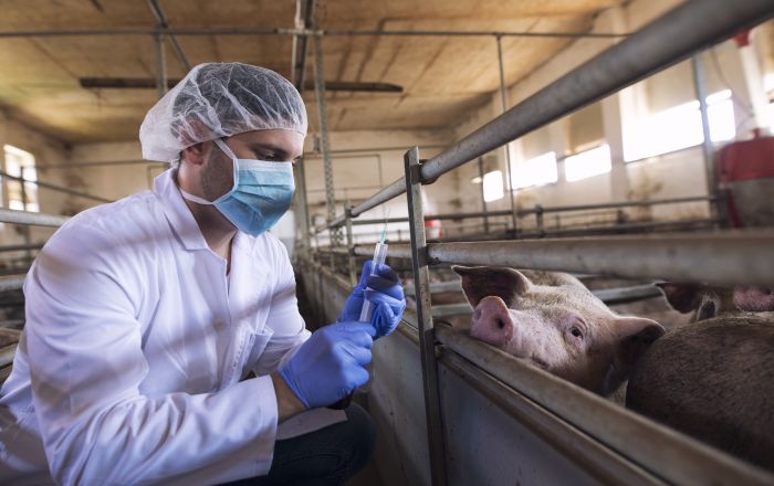 Da Enea i vaccini contro le malattie del bestiame trasmissibili all’uomo