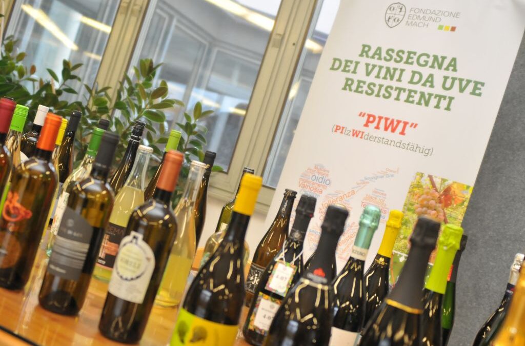 Torna la rassegna nazionale dei vini ottenuti da uve Piwi