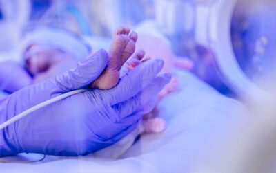 Sinpia, un bambino su 2 nato pretermine è a rischio di sviluppare un disturbo del neurosviluppo