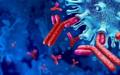 Biocytogen stipula un accordo sugli anticorpi con ADC Therapeutics
