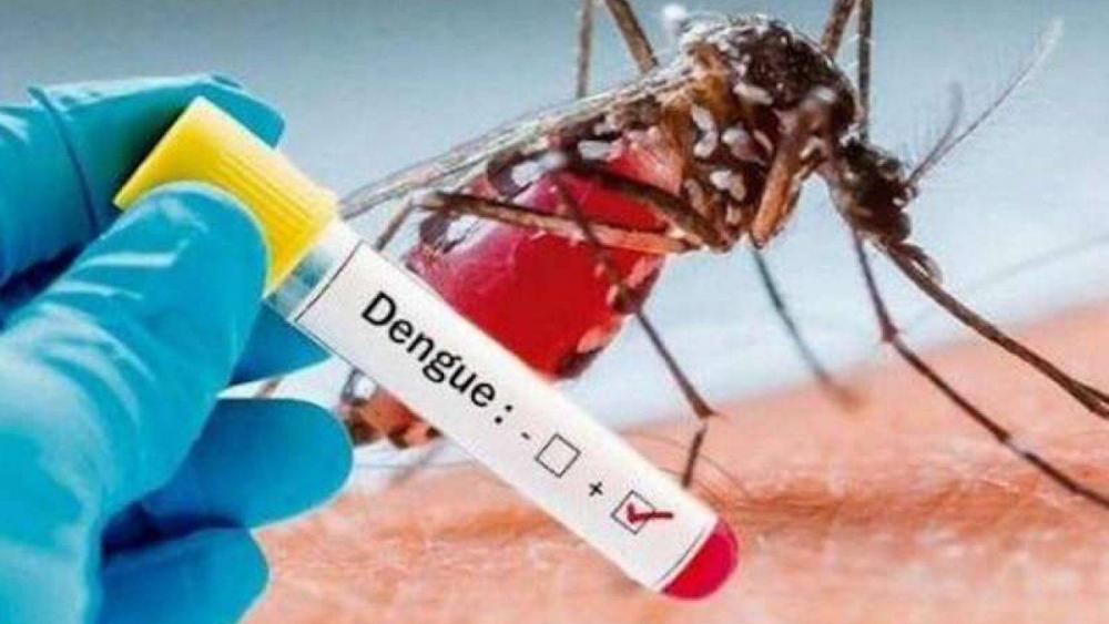 Dengue, vaccino QDENGA di Takeda approvato per l’utilizzo nell’Unione europea