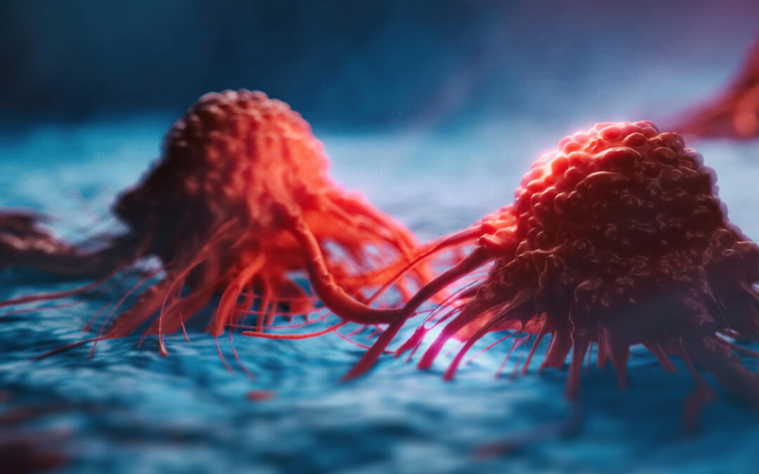 Due ricercatrici uniscono le forze nella ricerca sui tumori maligni nelle donne