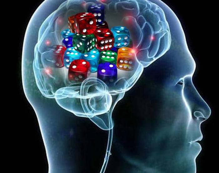 Settimana internazionale del cervello, test cognitivi e motori gratis a Rovereto