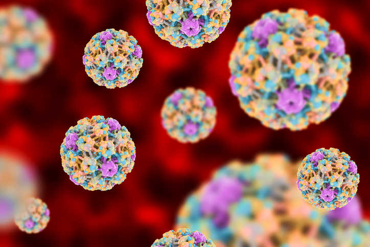Allarme papilloma virus, Fondazione Foresta: “Necessario estendere copertura vaccinale”
